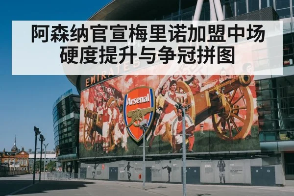 阿森纳官宣梅里诺加盟中场硬度提升与争冠拼图